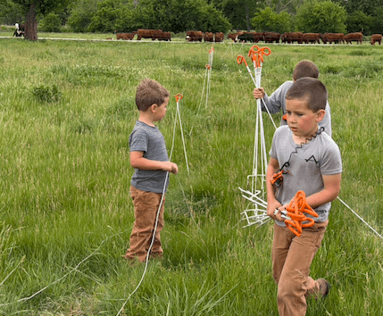 June 2026 Newsletter