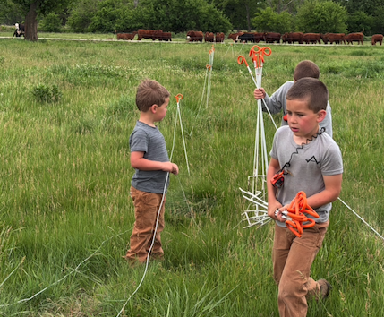 The Rowley boys moving fence on the farm